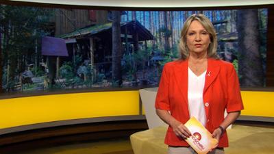 Abendschau - Der Süden: Sendung  · Das Wichtigste aus Südbayern