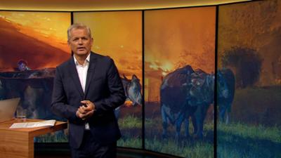 Abendschau - Der Süden: Sendung  · Das Wichtigste aus Südbayern