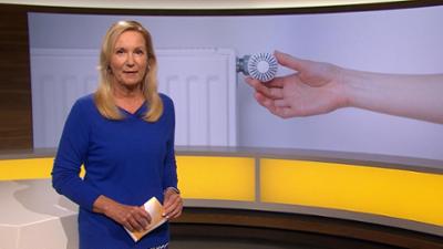 Abendschau - Der Süden: Sendung  · Das Wichtigste aus Südbayern