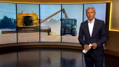 Abendschau - Der Süden: Sendung · Das Wichtigste aus Südbayern