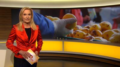 Abendschau - Der Süden: Sendung  · Das Wichtigste aus Südbayern