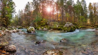 Abenteuer Wildnis: Versteckte Paradiese · An den Ufern der Loisach