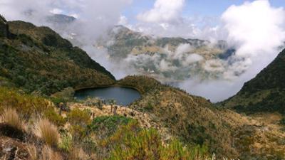 Abenteuer Wildnis: Kolumbien · Zwischen Pazifik und Anden