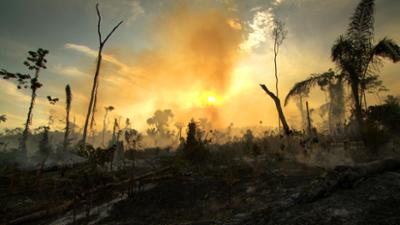 Abenteuer Wildnis: Mythos Amazonas: Alarm im Regenwald (S01/E03)