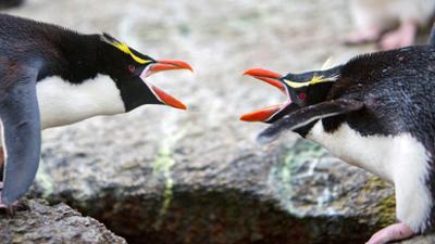 Abenteuer Wildnis: Folge 2: Im Reich der Extreme (S01/E02) Abenteuer Wildnis: Folge 2: Im Reich der Extreme (S01/E02)