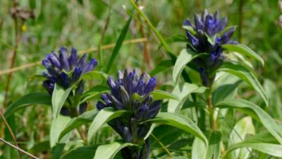 Abenteuer Wildnis: Ungeahnte Naturparadiese