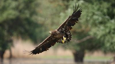 Abenteuer Wildnis: Ungarn - Wildnis zwischen Donau und Theiß