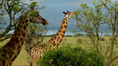 Abenteuer Wildnis: Mythos Nil: Im Land der tausend Quellen