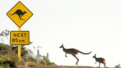 Abenteuer Wildnis: Highway durch Australien · Die Nullarbor