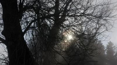 Abenteuer Wildnis: Bayerns Naturdenkmäler · Von Wackelstein bis Zwölf Apostel
