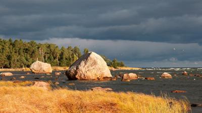Abenteuer Wildnis: Wildes Baltikum (1/2) - Die Küste