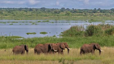 Abenteuer Wildnis: Mythos Nil: Über Stromschnellen in die Wüste