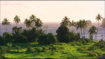 Abenteuer Wildnis: Hawaii - Paradies der Wale und Vulkane