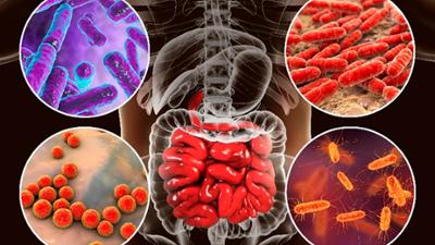 aktiv und gesund: Mikroben, doppelte Hüft-OP, Quiet Quitting