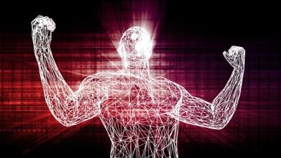 aktiv und gesund: Körper-Apotheke Muskeln, Vorhofflimmern, Medikamenten-Management