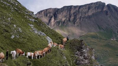 Alpenland