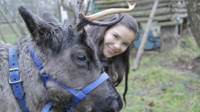 Anna, Paula, Pia und die wilden Tiere: Hat das Rentier eine rote Nase?