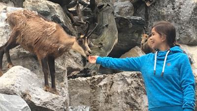 Anna und die wilden Tiere: Im Kindergarten der Gämsen Anna und die wilden Tiere: Im Kindergarten der Gämsen