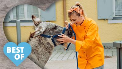 Best of Dahoam is Dahoam!: Tierische Begegnungen