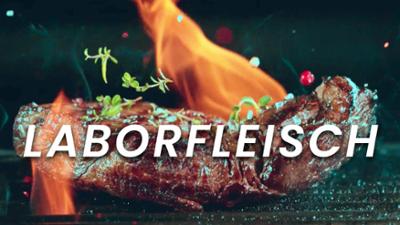 beta stories: Fleisch aus dem Labor - So vielversprechend ist es (S02/E02) beta stories: Fleisch aus dem Labor - So vielversprechend ist es (S02/E02)
