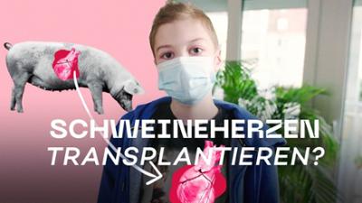 beta stories: Xenotransplantation - Wie Schweine zum Organspender für Menschen werden (S01/E02)