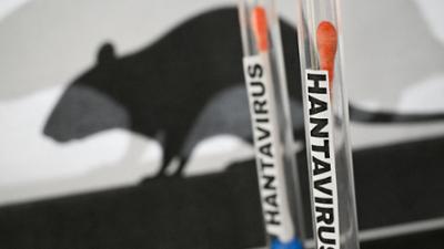 BR24: Hantavirus an Bord: Passagiere bald an Land