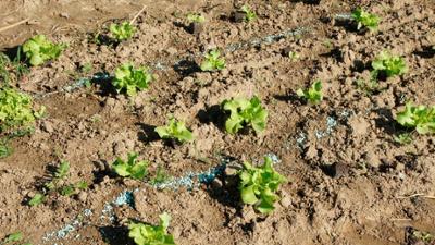 BR24: Öl, Sprit und Dünger - Was durch den Iran-Krieg teurer wird