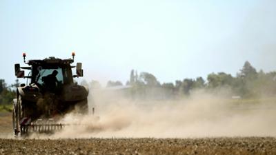 BR24: Hitze, Trockenheit, hohe Kosten: Schlechte Erntebilanz der Bauern