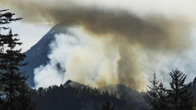 BR24: KI gegen Waldbrände: Rettet sie unsere Wälder?