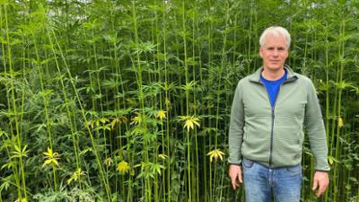 BR Story: Multitalent Hanf · Hosen und Baustoffe vom Feld