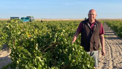 BR Story: Alkoholfrei aus der Weinkrise · Die neuen Wege der Winzer