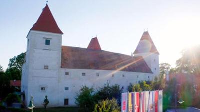 Burgen und Schlösser in Österreich: Das Marchfeld