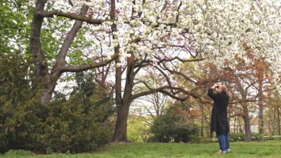 Capriccio: "Birding", radikales Theater und "Public Possession"