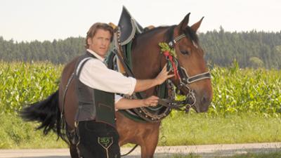 Dahoam is Dahoam: Ausgespannt und ausrangiert · 07.11.13 Folge 1217