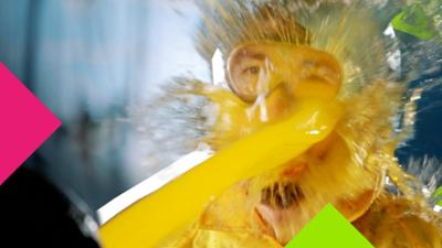 Das schaffst du nie: Erkenne die Drinks in deinem Gesicht