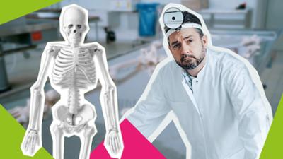 Das schaffst du nie: Setz das Skelett richtig zusammen