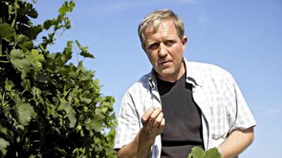 Der Winzerkönig: Folge 4: Neue Intrigen