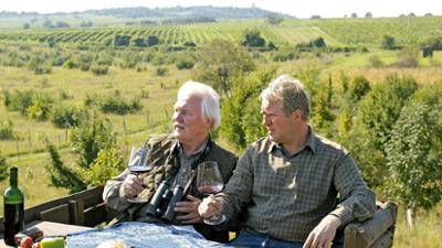 Der Winzerkönig: Folge 7: Blinde Eifersucht