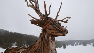 Die Waldflüsterin. Unterwegs bei den Zimbern