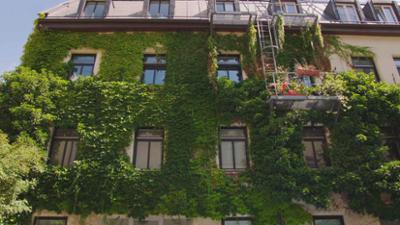Efeu, Geißblatt und Pfeifenwinde - Begrünte Häuser: Efeu, Pfeifenwinde und Klettergurke · Begrünte Häuser