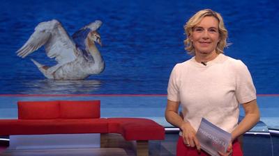 Frankenschau aktuell