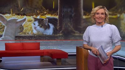 Frankenschau aktuell