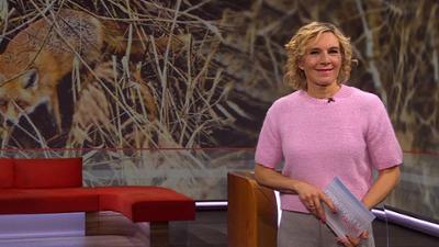 Frankenschau aktuell