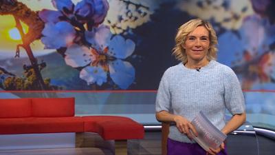 Frankenschau aktuell