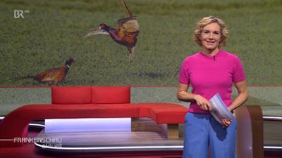 Frankenschau aktuell