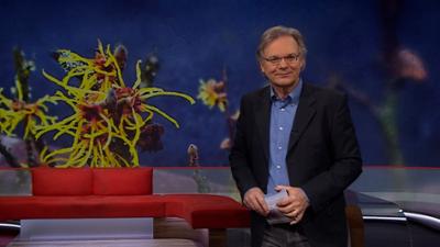 Frankenschau aktuell