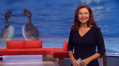 Frankenschau aktuell