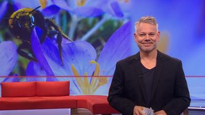 Frankenschau aktuell