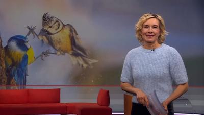 Frankenschau aktuell