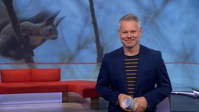 Frankenschau aktuell